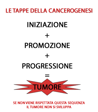cancerogenesi