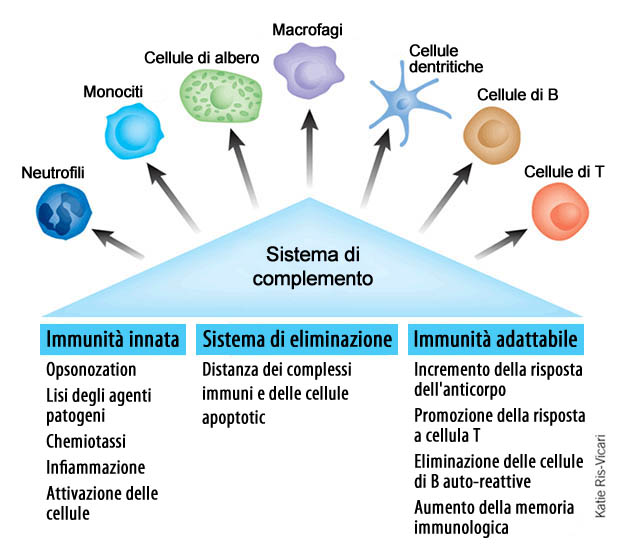 sistema_di_complemento